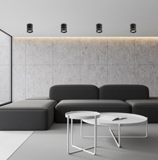 Lampa sufitowa TUBA czarna 2282787