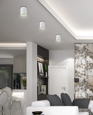 Lampa sufitowa TUBA biała 2226026