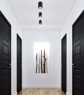 Lampa sufitowa TUBA czarna 2226033