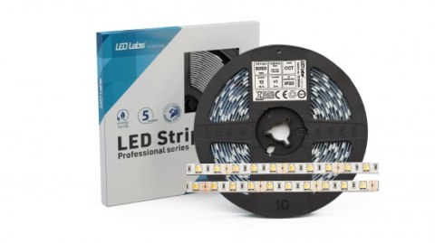 Taśma LED 600 SMD 5050 12W 24V CCT 615lm CRI80 IP20