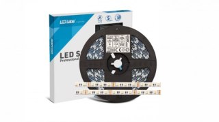 Taśma LED 60 RGB 5050 16W 24V Multicolor+6500K CRI80 IP20 5m - GW 5 LAT