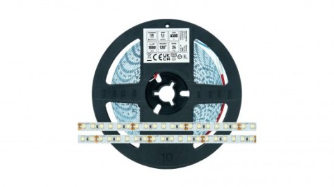 Taśma LED 120 SMD 2835 9,6W 24V 6500K 1080lm CRI80 IP20