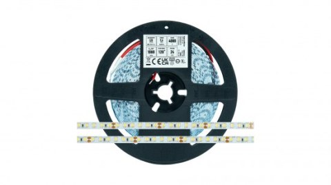 Taśma LED 120 SMD 2835 9,6W 24V 4000K 1080lm CRI80 IP20