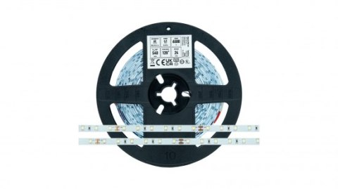 Taśma LED 60 SMD 2835 4,8W 24V 6500K 540lm CRI80 IP20