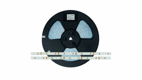 Taśma LED 120 SMD 2835 9,6W 24V 6500K 1080lm CRI80 IP20