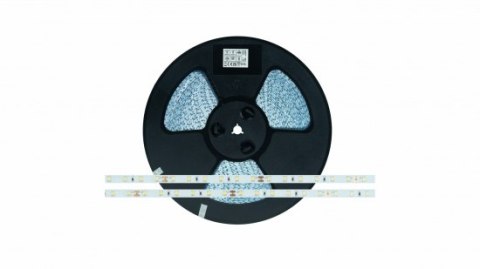 Taśma LED 60 SMD 2835 4,8W 24V 4000K 540lm CRI80 50m
