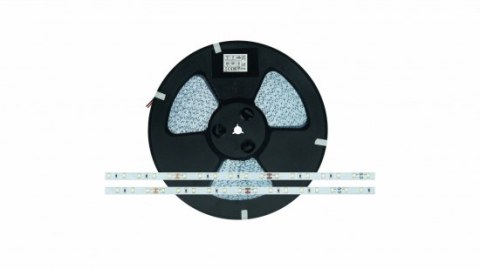 Taśma LED 60 SMD 2835 4,8W 24V 6500K 540lm CRI80 50m