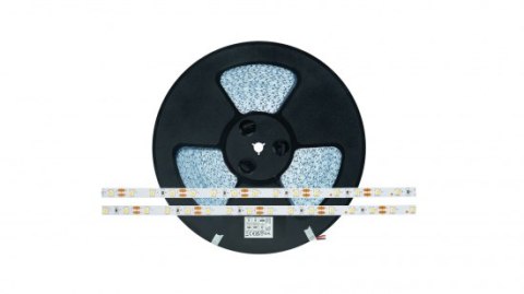 Taśma LED 60 SMD 2835 4,8W 12V 6500K 540lm CRI80 IP20 50m