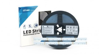 Taśma LED 896 COB 16W 24V RGB+6500K 1200lm CRI90 IP20 5m - GW 5LAT