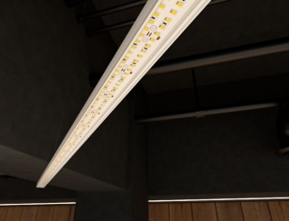 Taśma LED DWURZĘDOWA 280 SMD 2835 25W 24V 6500K 2942lm CRI80 IP20 5m - GW 5 LAT