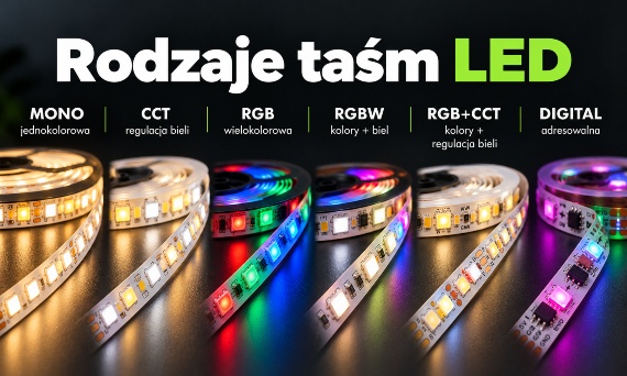 Rodzaje taśm LED – MONO, CCT, RGB, RGBW i cyfrowe